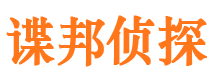 大悟市侦探调查公司